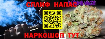 молекула духа Каменск-Шахтинский