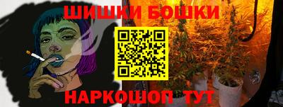 дживик Камень-на-Оби