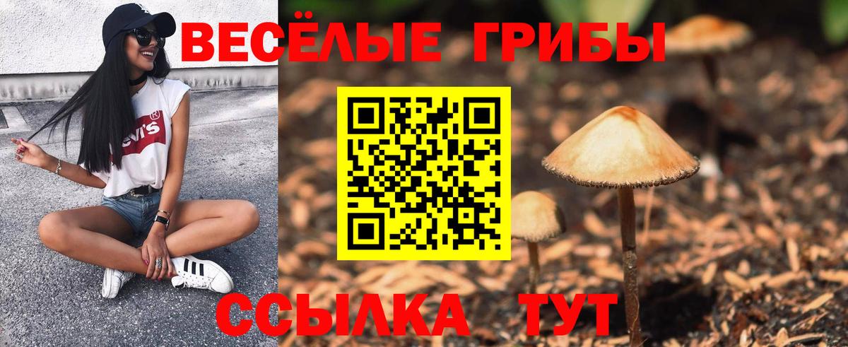 Псилоцибиновые грибы ЛСД Большой Камень
