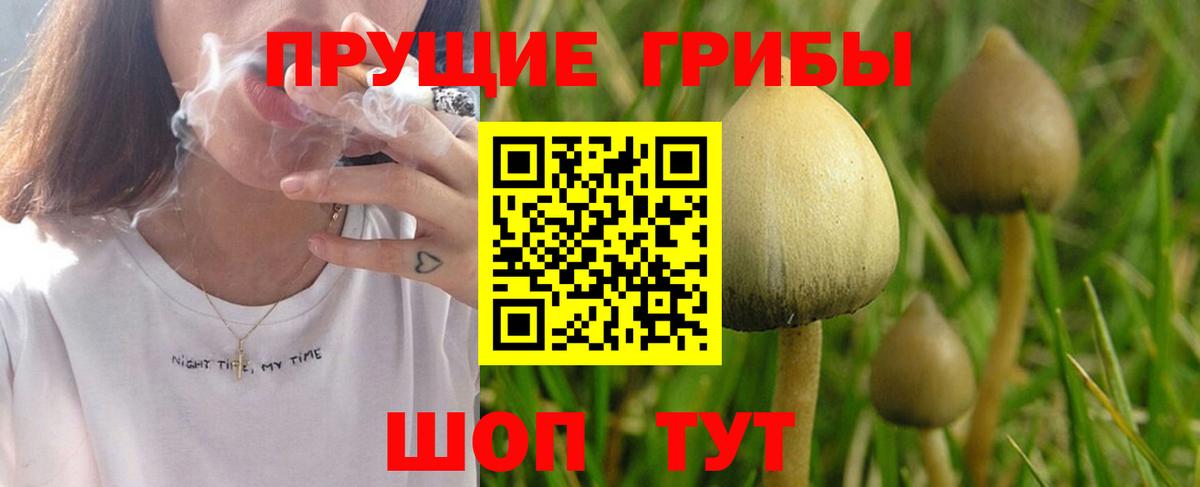 Большой Камень  Псилоцибиновые грибы ЛСД  наркошоп  Вход с VPN 